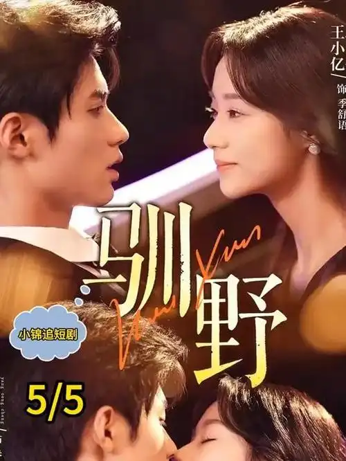 无声证词 犯罪悬疑剧全集在线观看